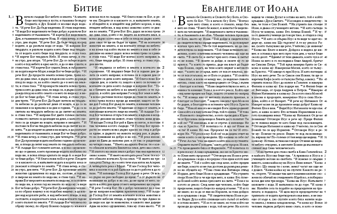 1871 Bulgarian BIBLE