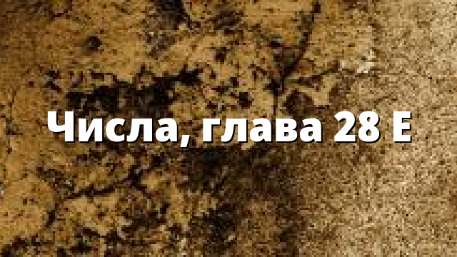 Числа, глава 28 Е