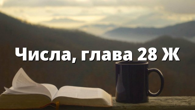 Числа, глава 28 Ж