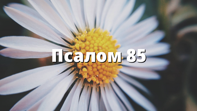 Псалом 85