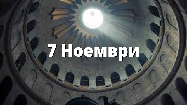 7 Ноември