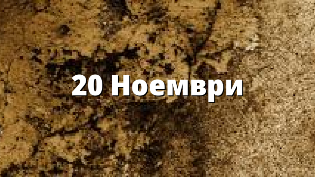 20 Ноември