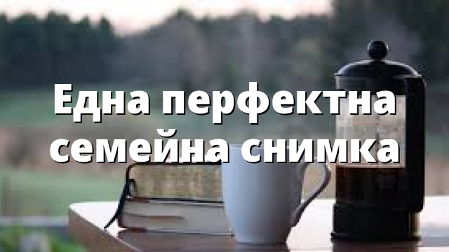 Една перфектна семейна снимка