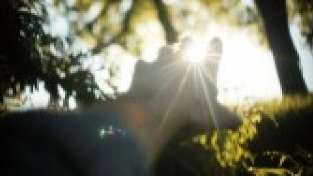 Рецепта за оцеляване