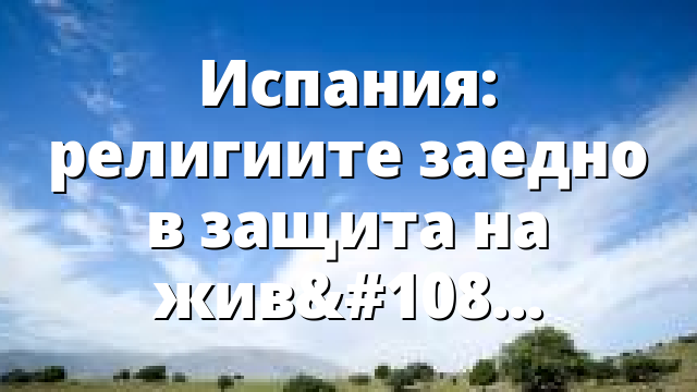 Испания: религиите заедно в защита на живота