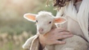 Всъщност пастирите са овце