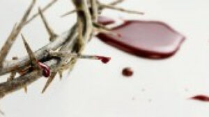 Кръвта на мъчениците е семето на църквата