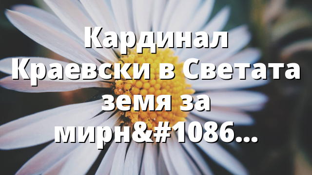 Кардинал Краевски в Светата земя за мирно послание